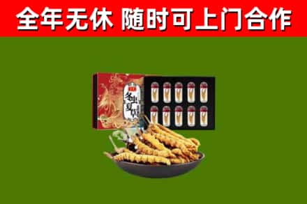 高唐烟酒回收冬虫夏草礼盒.jpg
